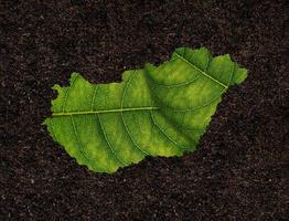 carte de la hongrie faite de feuilles vertes sur le concept d'écologie de fond de sol photo