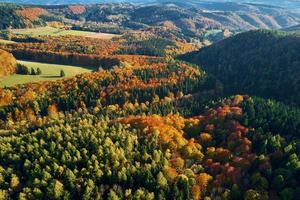 vue aérienne des montagnes couvertes de forêt d'automne photo
