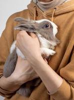 une jeune femme tient un mignon lapin moelleux dans ses bras. le lapin effrayé se cramponnait aux mains de la maîtresse. photo