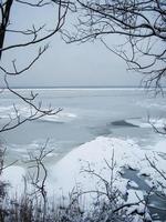 paysage d'hiver avec des plantes enneigées près d'un lac gelé. fond de neige dans une palette neutre photo