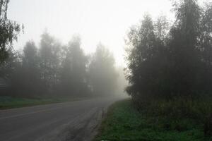 route rurale du matin brumeux photo