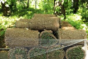 gros plan de tapis d'herbe de tapis à l'extérieur avec motif vert et marron. la pelouse d'herbe verte et le sol sont roulés en rouleaux, le gazon dans une pile est prêt pour le verdissement. photo