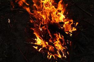 flammes de feu sur fond noir. le feu dans la forêt naturelle, les flammes et les étincelles sur un carburant de fond sombre, les lumières sur fond noir. photo