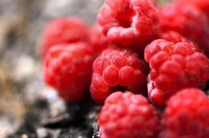 Vue rapprochée de fruits framboises sucrés, frais et biologiques photo