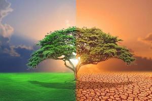 image comparative entre la sécheresse, l'effet de réchauffement climatique et la zone rafraîchissante. le concept de changement de pinceaux. aimer le monde. sauver l'environnement. photo