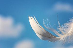 plume blanche comme neige sur fond de ciel bleu avec des nuages, concept de légèreté photo