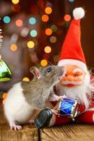 rat mignon dans un décor de noël, père noël et bokeh photo