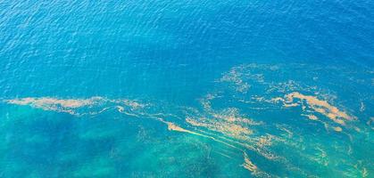 mer méditerranée bleu turquoise avec pollen jaune gros plan photo