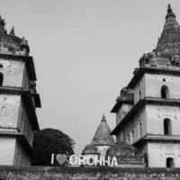 vue matinale des cénotaphes royaux chhatris d'orchha, madhya pradesh, inde, orchha la cité perdue de l'inde, sites archéologiques indiens photo