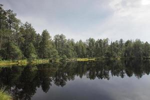 lac en forêt avec reflet des arbres et du ciel