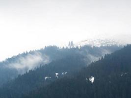 montagnes et forêt en hiver dans un jour brumeux photo