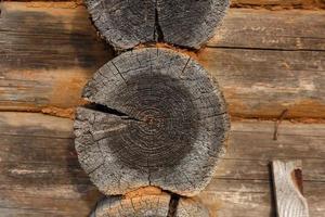 mur en bois de rondins. vieilles bûches coupées. bois texturé. photo