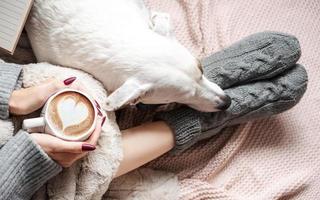 maison confortable, femme recouverte d'une couverture chaude, boit du café, chien endormi à côté de la femme. photo