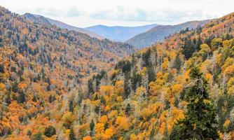 Couleurs vibrantes de l'automne dans les smokies, Tennessee photo