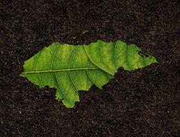 carte du honduras faite de feuilles vertes sur le concept d'écologie de fond de sol photo