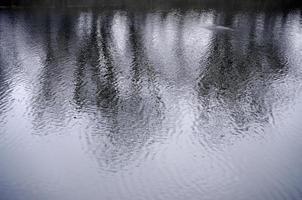 la texture de l'eau de la rivière sous l'influence du vent. beaucoup de vagues peu profondes à la surface de l'eau photo