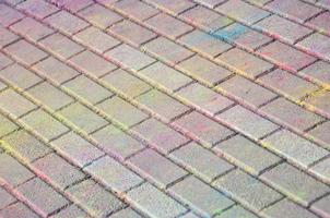 dalles de pavage multicolores, enduites de poudre de couleurs sèches au festival holi photo
