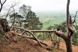 une vue sur la campagne du shropshire à grinshill photo