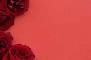 roses rouges foncées sur tableau rouge, fond de la Saint-Valentin avec espace de copie photo