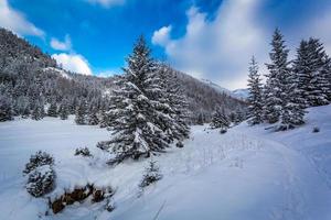 chemin de neige dans la vallée de la montagne photo