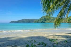 paysage d'été avec le palmier sur la plage tropicale belle vue sur la mer