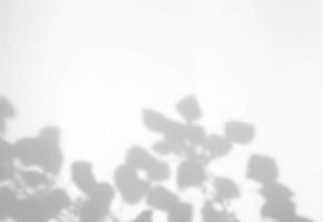 feuilles réalistes effet de superposition d'ombre naturelle sur fond de texture blanche avec espace de copie, pour la superposition sur la présentation du produit, la toile de fond et la maquette photo