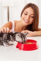 s'occuper de son petit chaton. petit chaton mangeant de la nourriture dans le bol tout en étant caressé par une belle jeune femme photo