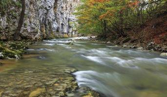 rivière de montagne à la fin de l'automne