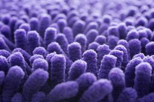 gros plan de nettoyage violet paillasson ou texture de tapis. photo