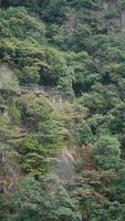 les beaux paysages de montagnes avec la forêt verte et une route en planches construite le long d'une falaise dans la campagne de la chine photo
