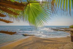 vue mer et sable unique. palmier. belle plage vue paisible photo