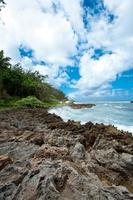 Côte rocheuse, rive nord d'Oahu, Hawaï photo