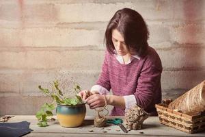 femme fabrique à la main une plante d'intérieur photo