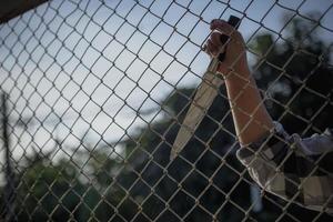 photo en gros plan des mains en prison poignée en treillis d'acier gère la cage en treillis d'acier, manque d'indépendance.