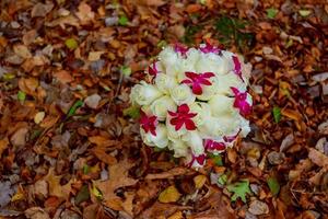 bouquet de mariée de roses blanches sur fond de feuilles photo