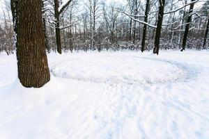 Chemin rond piétiné dans la neige sur le pré dans la chênaie photo