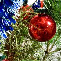 décorations d'arbre de Noël photo