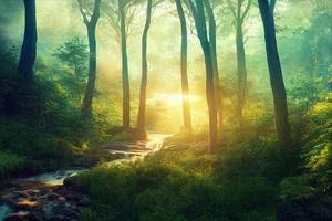 belle matinée dans une forêt photo