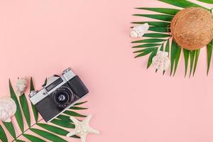 feuilles de palmier et noix de coco sur fond pastel rose photo