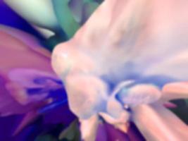 fusion de couleur liquide bleu rose abstrait coloré photo