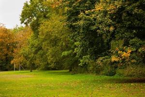 parc d'automne avec de l'herbe verte dans le pré et des arbres photo