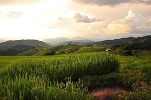 rizières en terrasses paysage sur la montagne