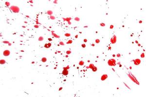 Libre de gouttes de sang rouge isolé sur fond blanc, abstract pattern photo
