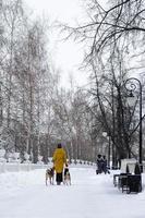 jeune femme se promène dans un parc d'hiver enneigé avec ses deux chiens. vue arrière. photo