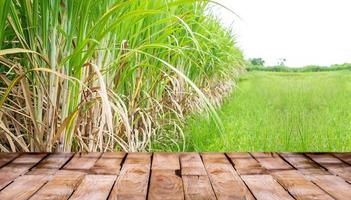 beau plancher en bois et fond de nature de champ de canne à sucre, fond de vitrine debout de produit agricole photo