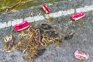 des bananes jaunes vertes poussent sur l'île de phuket en thaïlande. photo