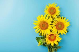 un bouquet de fleurs de graines de tournesol sur fond bleu. photo