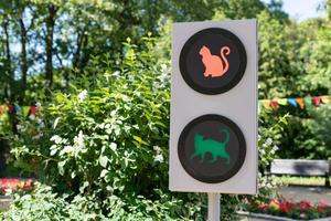 feu de circulation avec des chats. concept de feux tricolores amusant pour les enfants et les parents dans le jardin de la ville. feu vert allumé photo