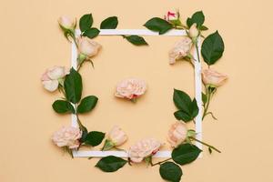 petites fleurs blanches et roses d'une rose avec de jeunes feuilles vertes photo