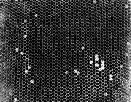 la structure hexagonale abstraite est en nid d'abeille de la ruche d'abeilles photo